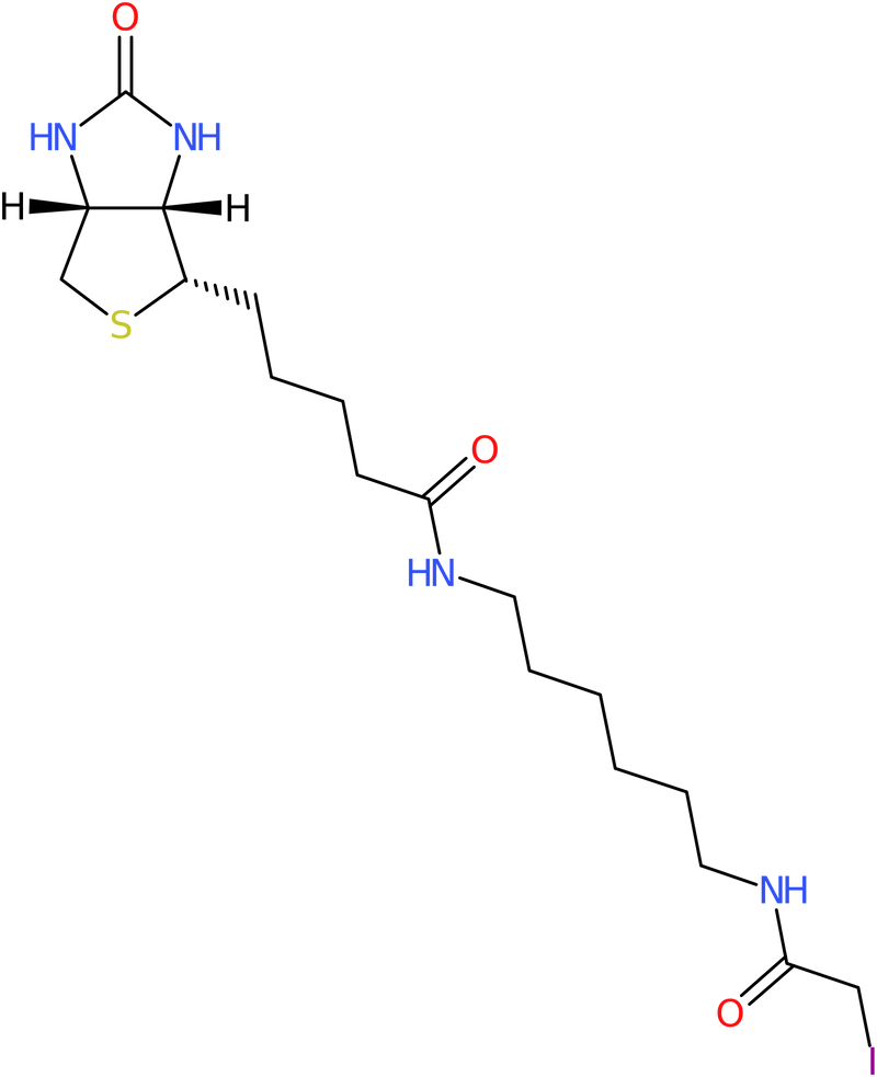 CAS: 93285-75-7 | N-Iodoacetyl-N-biotinylhexylenediamine, NX69512