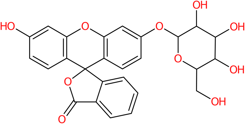 CAS: 102286-67-9 | Fluorescein beta-D-galactopyranoside, NX11516