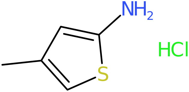 CAS: 930299-88-0 | 4-Methylthiophen-2-amine hydrochloride, >95%, NX69426