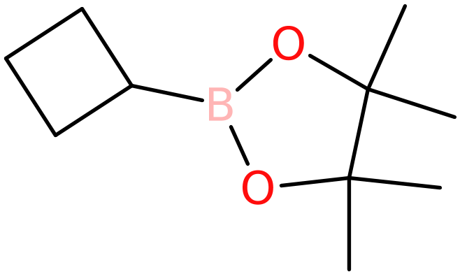 CAS: 1360914-08-4 | 2-Cyclobutyl-4,4,5,5-tetramethyl-1,3,2-dioxaborolane, >97%, NX22231