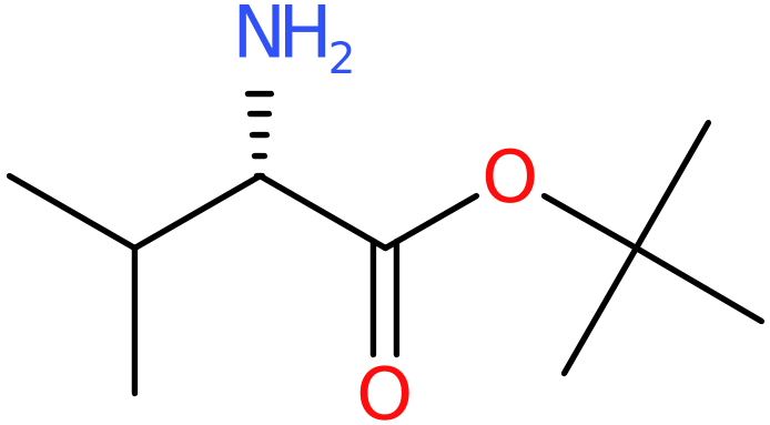 CAS: 13211-31-9 | tert-Butyl l-valinate, >96%, NX20985