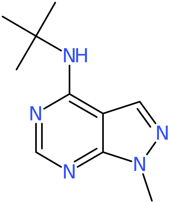 CAS: 869072-45-7 | N-(tert-Butyl)-1-methyl-1H-pyrazolo[3,4-d]pyrimidin-4-amine, NX65023