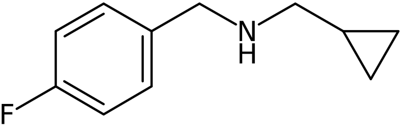 CAS: 1019538-79-4 | N-(Cyclopropylmethyl)-4-fluoro-benzylamine, NX11363