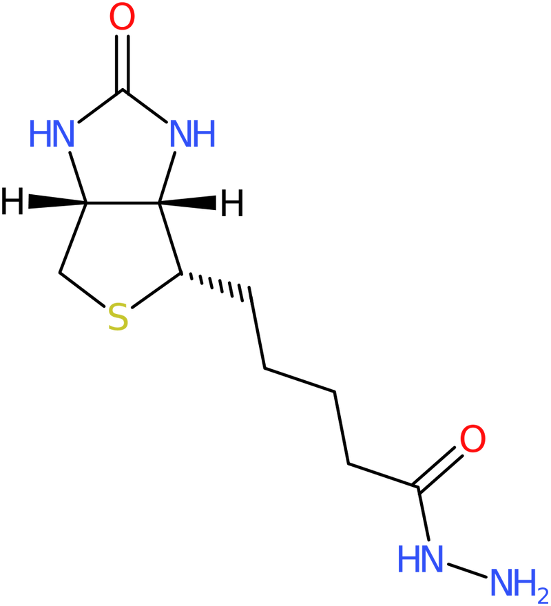 CAS: 66640-86-6 | Biotin hydrazide, NX57498