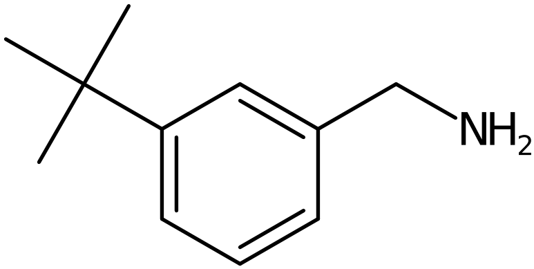 CAS: 140401-55-4 | 3-tert-Butyl-benzylamine, NX23377