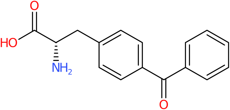 CAS: 104504-45-2 | H-p-Bz-Phe-OH, NX12326