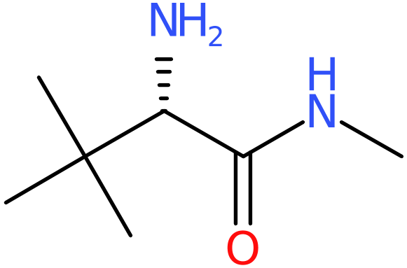 CAS: 89226-12-0 | L-tert-Leucine methylamide, NX67293