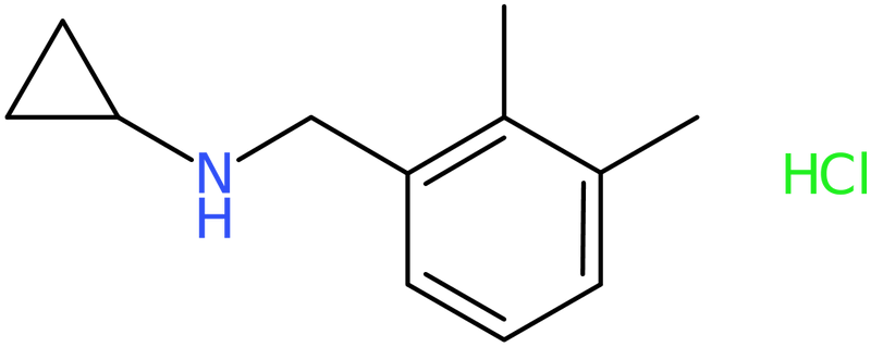 CAS: 909702-86-9 | N-(2,3-Dimethylbenzyl)cyclopropylamine hydrochloride, NX68184