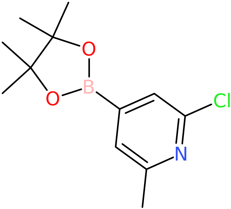 CAS: 697739-22-3 | 2-Chloro-6-methylpyridine-4-boronic acid, pinacol ester, >98%, NX58735