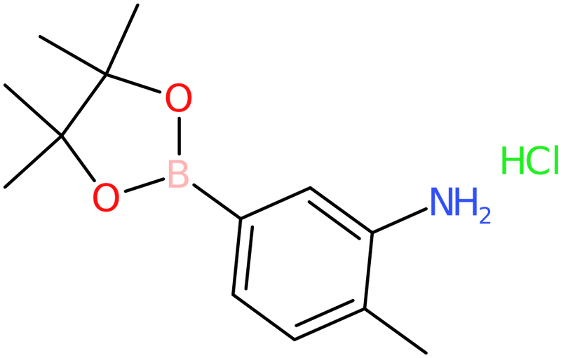 CAS: 850567-52-1 | (3-Amino-4-methyl)benzeneboronic acid, pinacol ester hydrochloride, >98%, NX63875