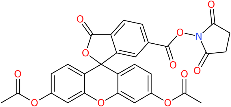 CAS: 150206-15-8 | 6-Carboxyfluorescein diacetate N-hydroxysuccinimide ester, NX25490