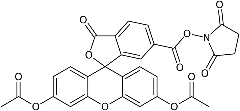 CAS: 150206-15-8 | 6-Carboxyfluorescein diacetate N-hydroxysuccinimide ester, NX25490