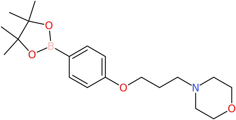 CAS: 910462-33-8 | 4-(3-Morpholin-4-ylpropoxy)benzeneboronic acid, pinacol ester, >98%, NX68243