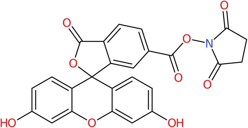 CAS: 92557-81-8 | 6-Carboxyfluorescein N-hydroxy succinimide ester, NX69174