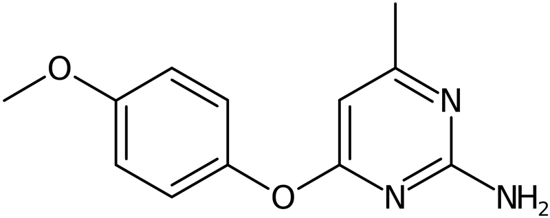 CAS: 130035-55-1 | 2-Amino-4-(4-methoxyphenoxy)-6-methylpyrimidine, NX20403