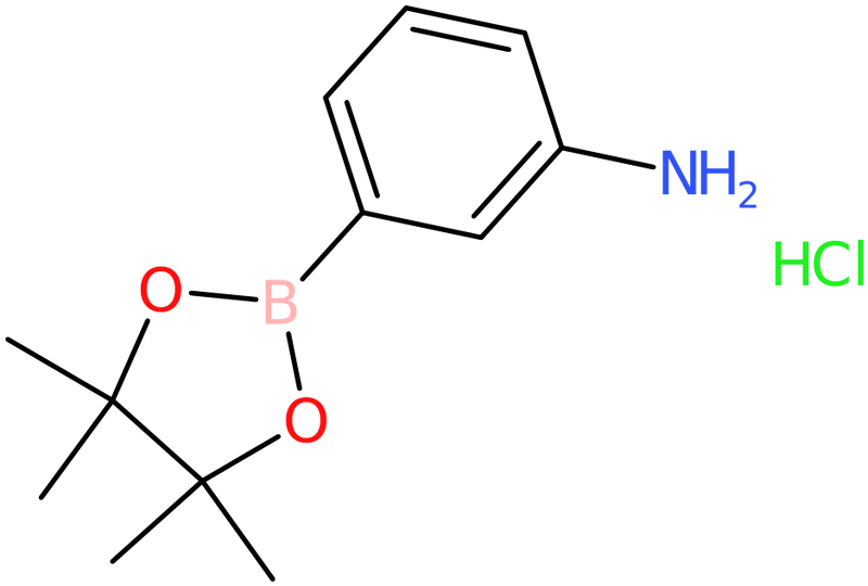 CAS: 850567-51-0 | 3-Aminobenzeneboronic acid, pinacol ester hydrochloride, >95%, NX63874