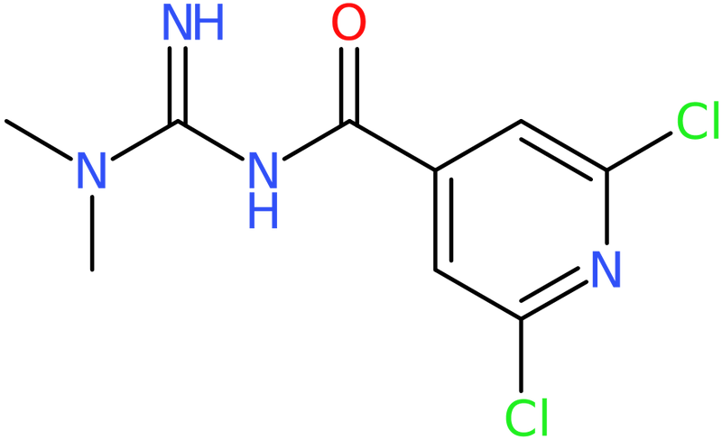 CAS: 649699-62-7 | 2,6-Dichloro-N-(N,N-dimethylcarbamimidoyl)isonicotinamide, NX56788