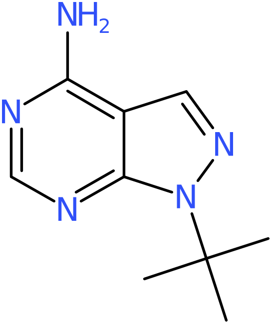 CAS: 862728-60-7 | 1-tert-Butyl-1H-pyrazolo[3,4-d]pyrimidin-4-amine, NX64671