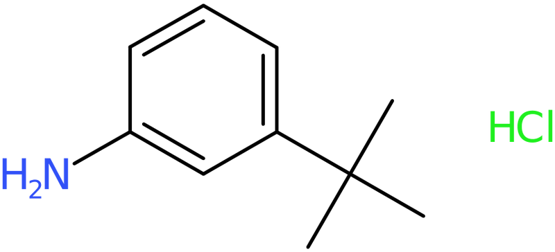 CAS: 83672-23-5 | 3-(tert-Butyl)aniline hydrochloride, NX63231