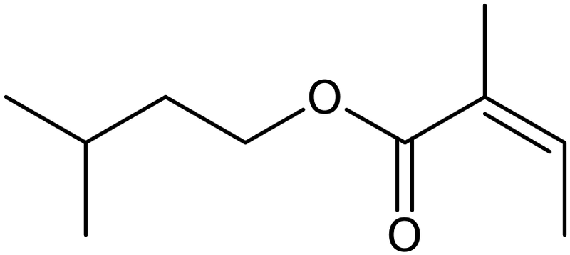 CAS: 10482-55-0 | Angelic acid isoamyl ester, >95%, NX12384