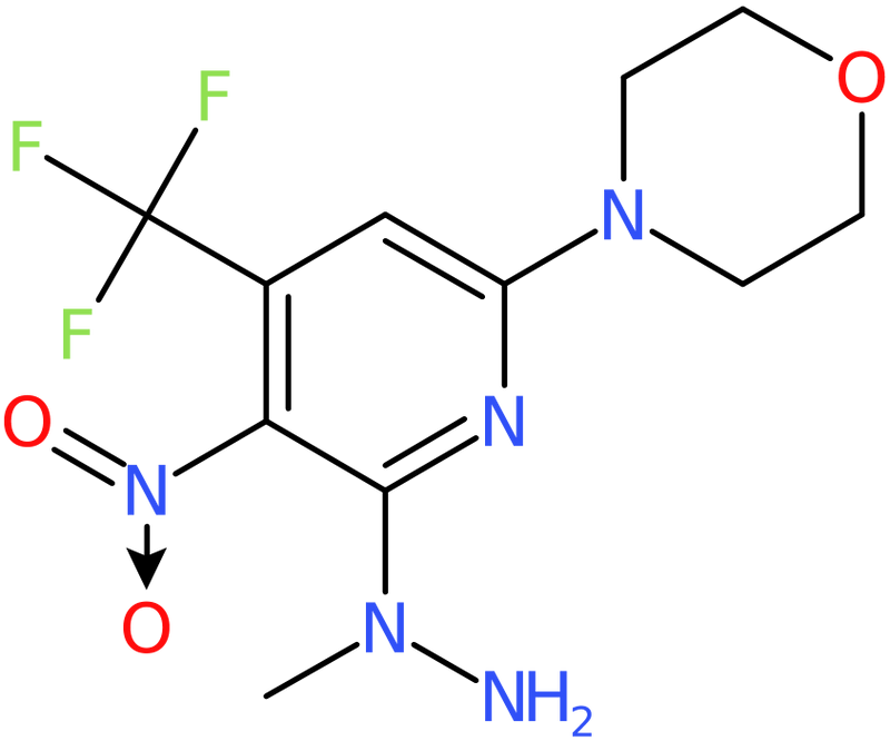 CAS: 1053658-19-7 | N-Methyl-N-(6-morpholin-4&