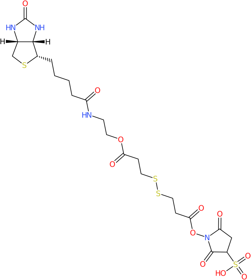 CAS: 858128-64-0 | Sulphosuccinimidyl-2-(biotinamido)ethyl-1,3-dithiopropionate, NX64400
