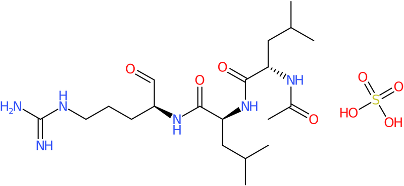 CAS: 103476-89-7 | Leupeptin hemisulphate, >90%, NX11974