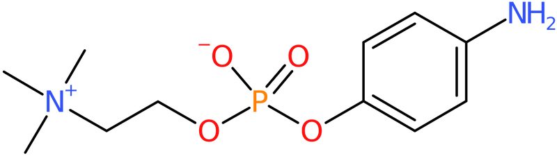 CAS: 102185-28-4 | 4-Aminophenyl 2-(trimethylammonio)ethyl phosphate, NX11490