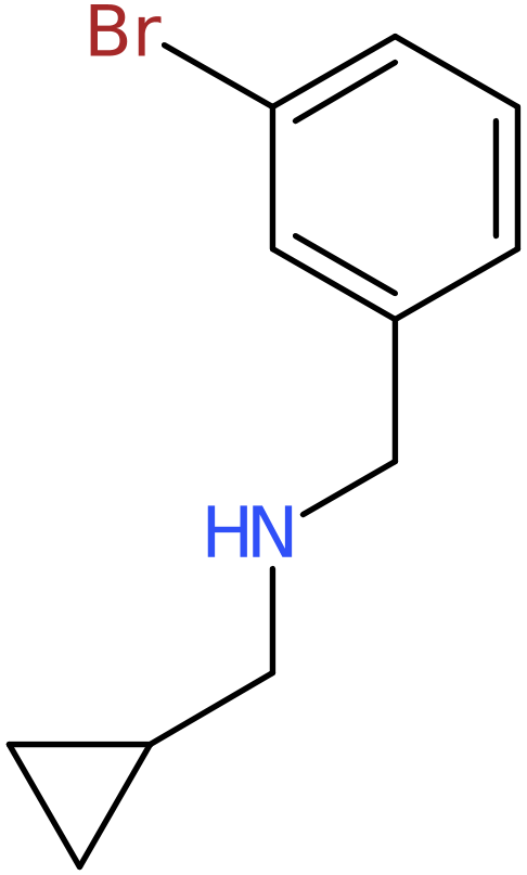 CAS: 1019506-79-6 | N-(Cyclopropylmethyl)-3-bromo-benzylamine, NX11361