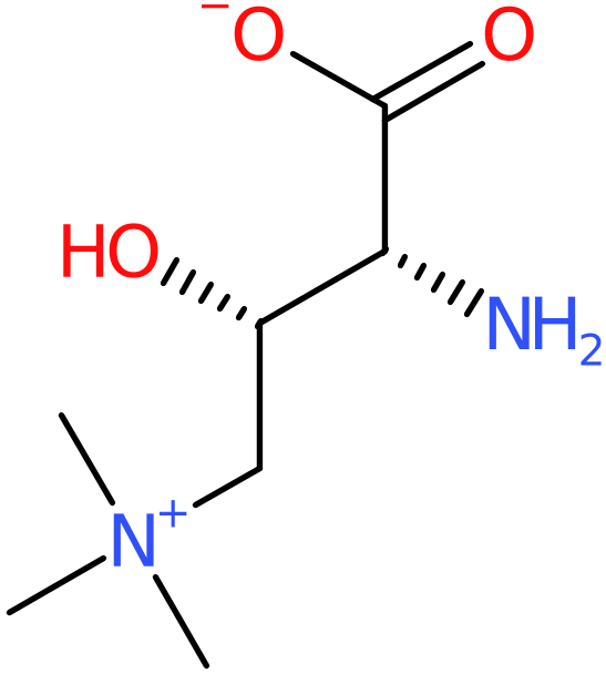 CAS: 98063-21-9 | (R)-Aminocarnitine, NX71606