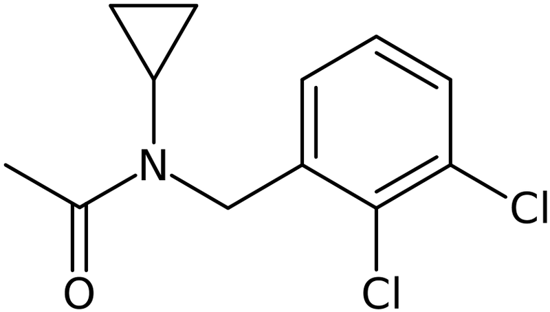 CAS: 1041439-18-2 | N-Cyclopropyl-N-(2,3-dichlorobenzyl)acetamide, >98%, NX12230