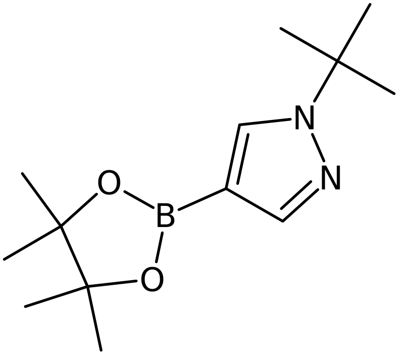 CAS: 1256359-15-5 | 1-tert-Butylpyrazole-4-boronic acid, pinacol ester, >97%, NX19109