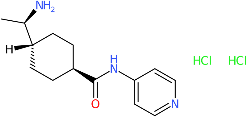 CAS: 129830-38-2 | Y-27632 dihydrochloride, NX20369