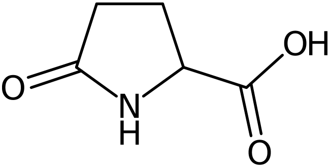 CAS: 149-87-1 | DL-Pyroglutamic acid, NX25295