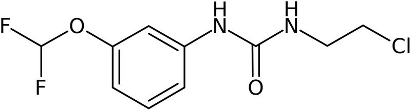 CAS: 1427460-88-5 | N-(2-Chloroethyl)-N&