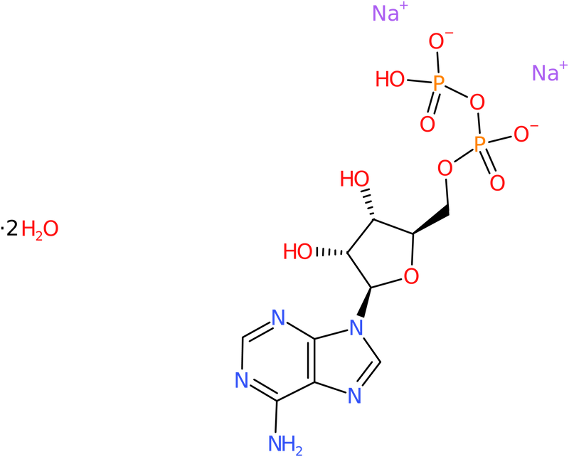 CAS: 16178-48-6 | Adenosine-5&