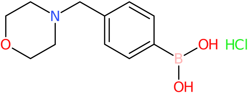 CAS: 1335234-36-0 | 4-(Morpholinomethyl)phenylboronic acid,, >96%, NX21371