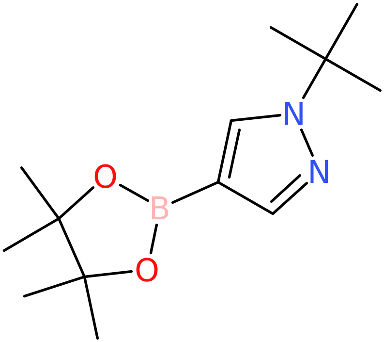 CAS: 1256359-15-5 | 1-tert-Butylpyrazole-4-boronic acid, pinacol ester, >97%, NX19109