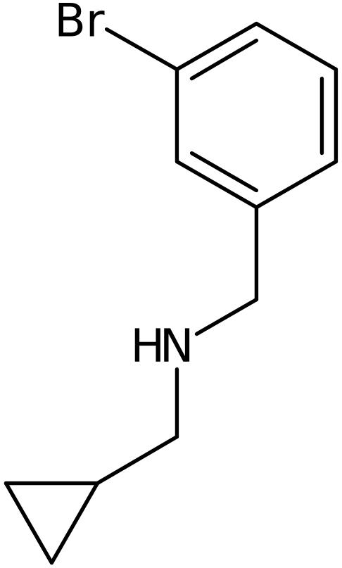 CAS: 1019506-79-6 | N-(Cyclopropylmethyl)-3-bromo-benzylamine, NX11361