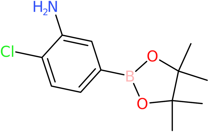 CAS: 850567-56-5 | 3-Amino-4-chlorobenzeneboronic acid, pinacol ester, >98%, NX63878