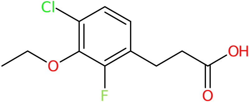 CAS: 1323966-45-5 | 3-(4-Chloro-3-ethoxy-2-fluorophenyl)propionic acid, >97%, NX21073