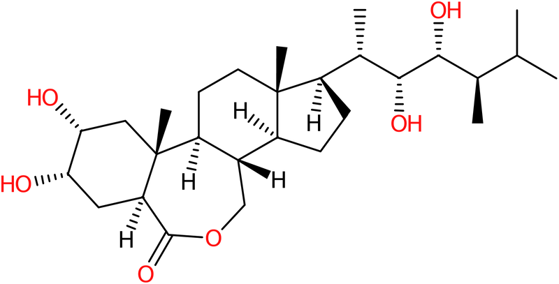 CAS: 78821-43-9 | 24-Epibrassinolide, NX62055