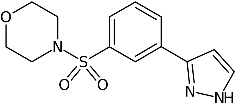 CAS: 1019013-42-3 | 4-[3-(1H-Pyrazol-3-yl)phenyl]sulfonylmorpholine, NX11322