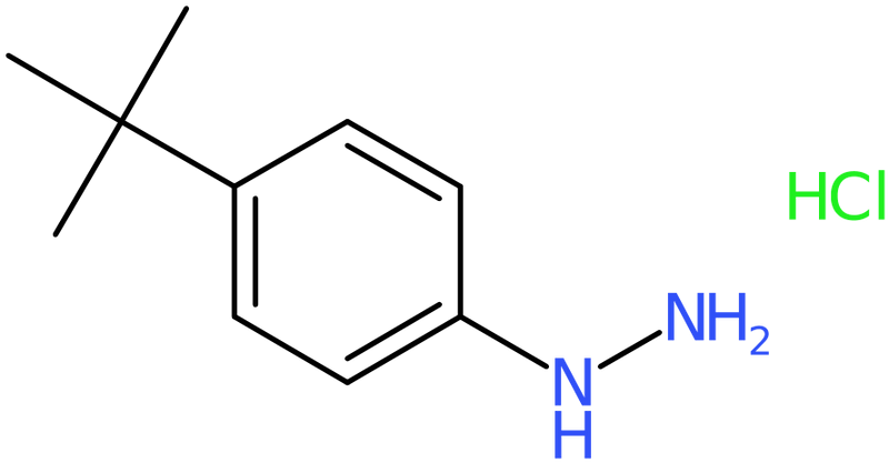 CAS: 128231-55-0 | 4-(tert-Butyl)phenylhydrazine hydrochloride, NX20086