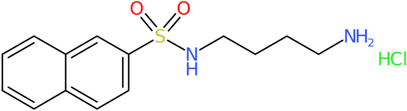 CAS: 89108-46-3 | N-(4-Aminobutyl)-2-naphthalenesulphonamide hydrochloride, NX67258